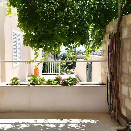 Ron 두브로브니크